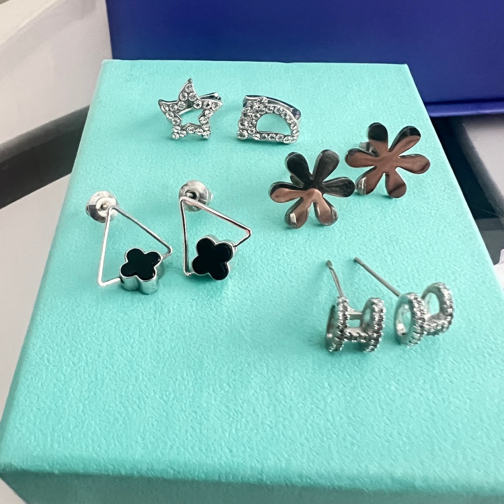 Chic Silver and Black Earring Set